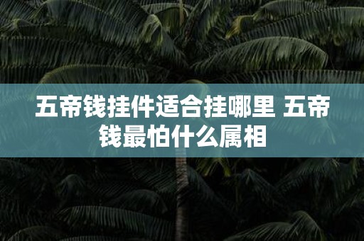 五帝钱挂件适合挂哪里 五帝钱最怕什么属相