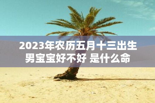 2025年农历五月十三出生男宝宝好不好 是什么命