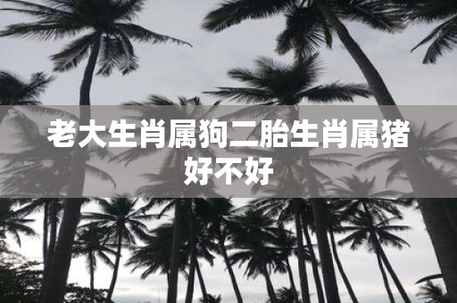 老大生肖属狗二胎生肖属猪好不好