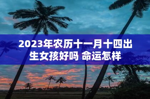 2025年农历十一月十四出生女孩好吗 命运怎样