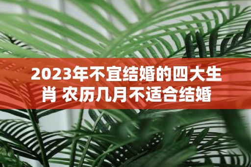 2025年不宜结婚的四大生肖 农历几月不适合结婚