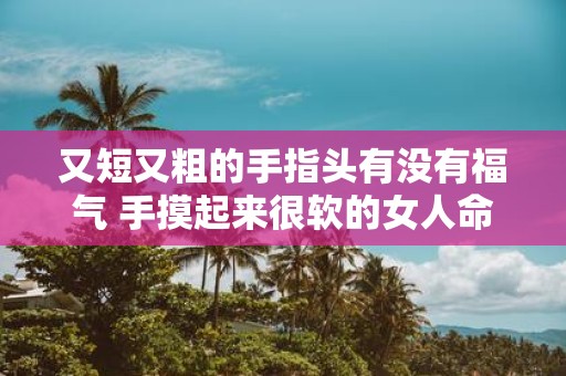又短又粗的手指头有没有福气 手摸起来很软的女人命运