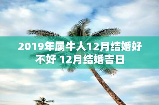 2019年属牛人12月结婚好不好 12月结婚吉日