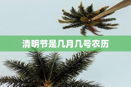 清明节是几月几号农历