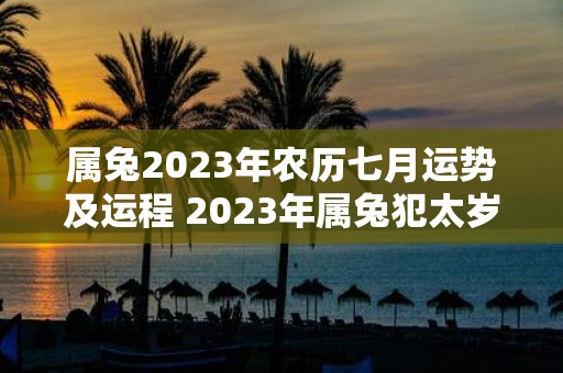 属兔2025年农历七月运势及运程 2025年属兔犯太岁吗