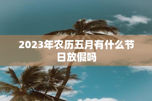 2025年农历五月有什么节日放假吗
