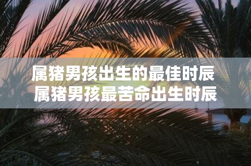 属猪男孩出生的最佳时辰 属猪男孩最苦命出生时辰