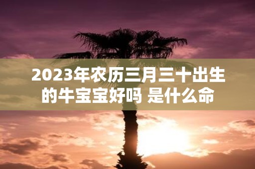 2025年农历三月三十出生的牛宝宝好吗 是什么命