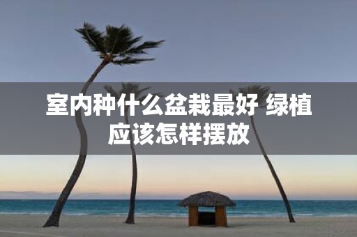 室内种什么盆栽最好 绿植应该怎样摆放