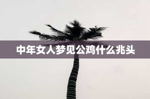 中年女人梦见公鸡什么兆头