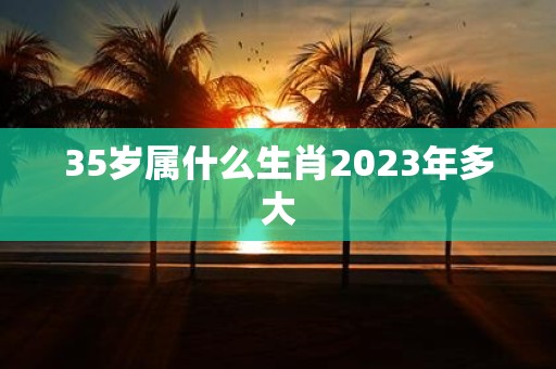 35岁属什么生肖2025年多大