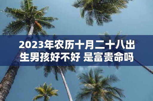 2025年农历十月二十八出生男孩好不好 是富贵命吗