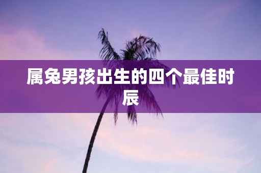 属兔男孩出生的四个最佳时辰