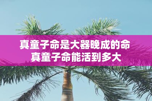 真童子命是大器晚成的命 真童子命能活到多大