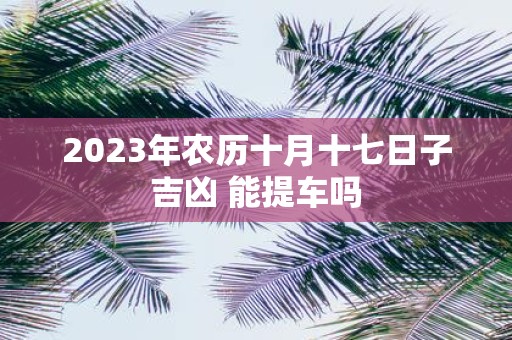 2025年农历十月十七日子吉凶 能提车吗