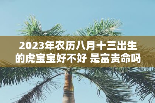 2025年农历八月十三出生的虎宝宝好不好 是富贵命吗