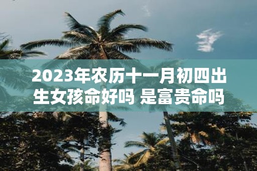 2025年农历十一月初四出生女孩命好吗 是富贵命吗
