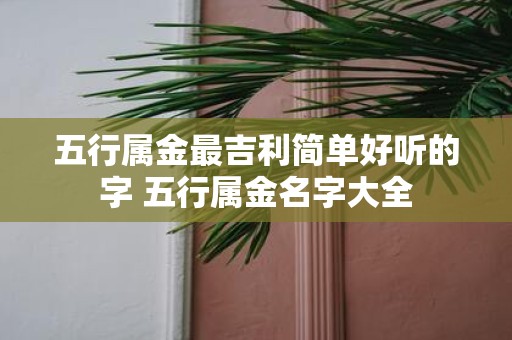 五行属金最吉利简单好听的字 五行属金名字大全