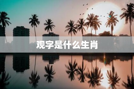 观字是什么生肖