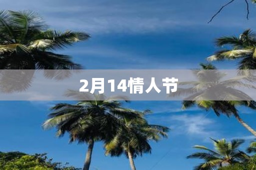 2月14情人节