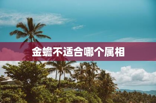 金蟾不适合哪个属相