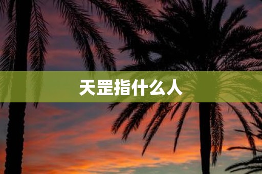 天罡指什么人