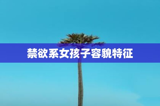 禁欲系女孩子容貌特征