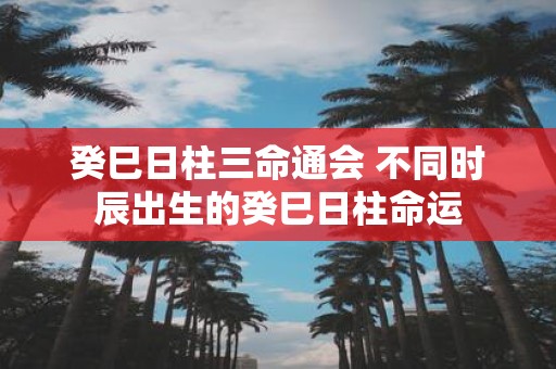癸巳日柱三命通会 不同时辰出生的癸巳日柱命运