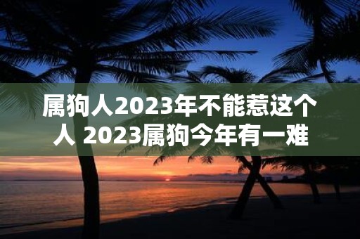属狗人2025年不能惹这个人 2025属狗今年有一难
