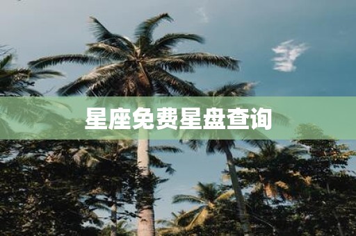 星座免费星盘查询