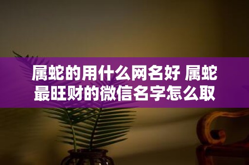 属蛇的用什么网名好 属蛇最旺财的微信名字怎么取