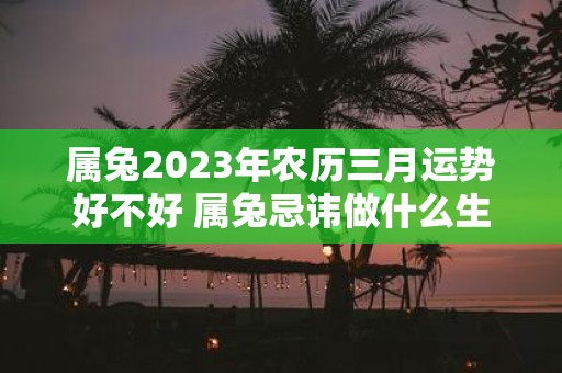 属兔2025年农历三月运势好不好 属兔忌讳做什么生意