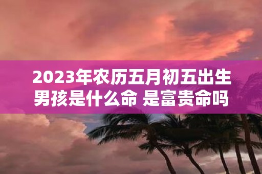 2025年农历五月初五出生男孩是什么命 是富贵命吗
