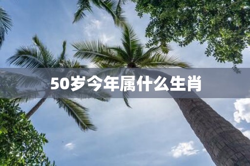 50岁今年属什么生肖