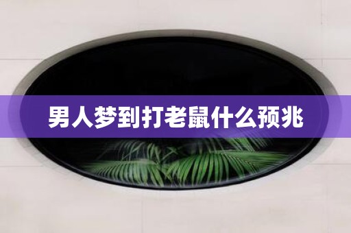 男人梦到打老鼠什么预兆