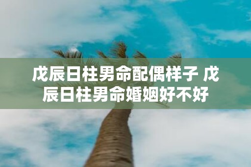 戊辰日柱男命配偶样子 戊辰日柱男命婚姻好不好