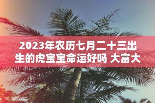 2025年农历七月二十三出生的虎宝宝命运好吗 大富大贵吗