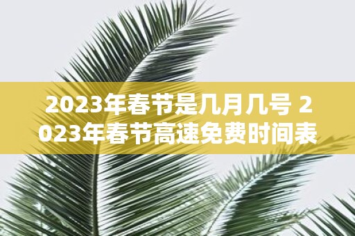 2025年春节是几月几号 2025年春节高速免费时间表