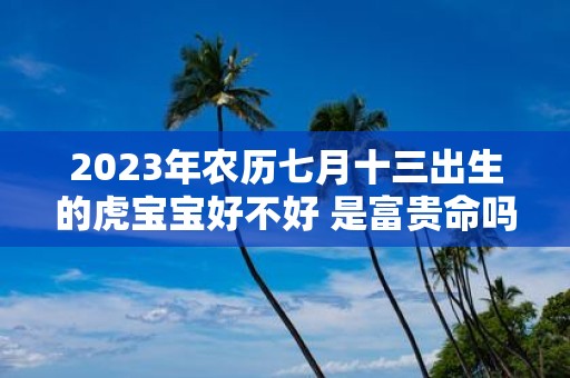 2025年农历七月十三出生的虎宝宝好不好 是富贵命吗