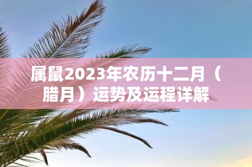 属鼠2025年农历十二月（腊月）运势及运程详解