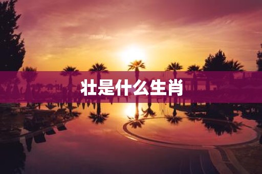 壮是什么生肖