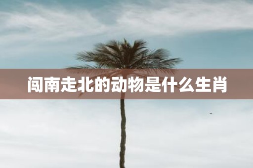 闯南走北的动物是什么生肖
