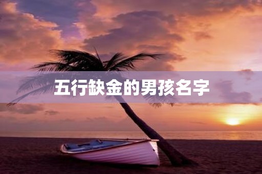 五行缺金的男孩名字
