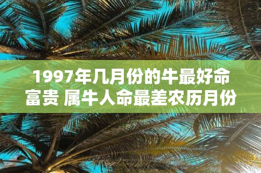 1997年几月份的牛最好命富贵 属牛人命最差农历月份