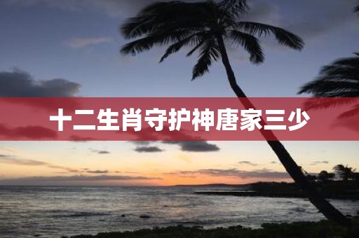十二生肖守护神唐家三少