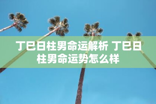 丁巳日柱男命运解析 丁巳日柱男命运势怎么样