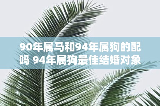 90年属马和94年属狗的配吗 94年属狗最佳结婚对象