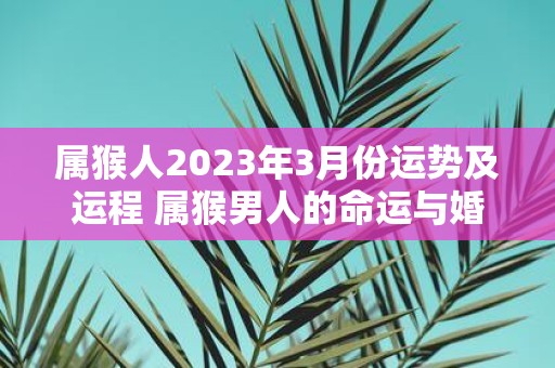 属猴人2025年3月份运势及运程 属猴男人的命运与婚姻