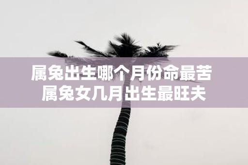 属兔出生哪个月份命最苦 属兔女几月出生最旺夫
