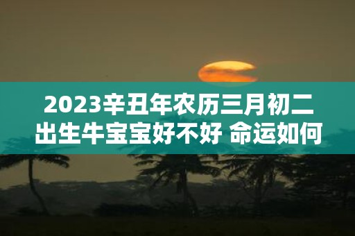 2025辛丑年农历三月初二出生牛宝宝好不好 命运如何